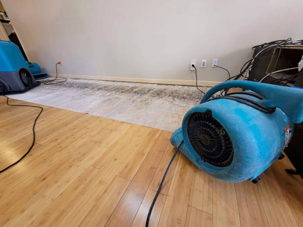 Professional Structural Drying technician working in Oakhurst, NJ